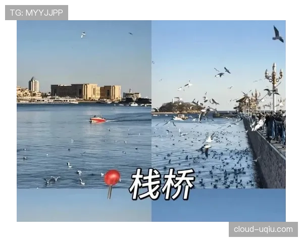 不可抗力中断比赛后，规则如何决定是否重赛或判胜负？